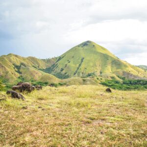 Breathtaking view of a lush green mountain in Nusa Tenggara, showcasing natural beauty and serenity.